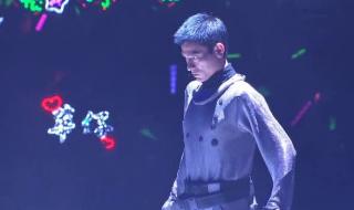 刘德华2007年演唱会 刘德华2007年演唱会